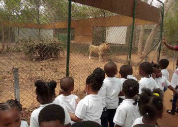 Orchids Visits Accra Zoo (2)